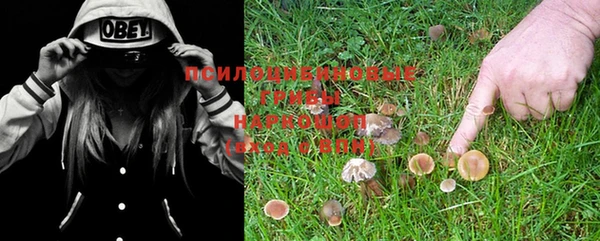 круглые Алексин