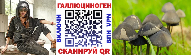 omg как зайти  купить закладку  Константиновск  Галлюциногенные грибы прущие грибы 
